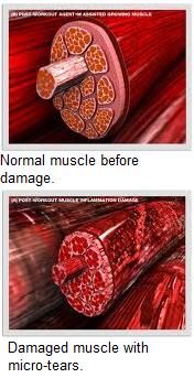 Gym & Fitness Mirinfo